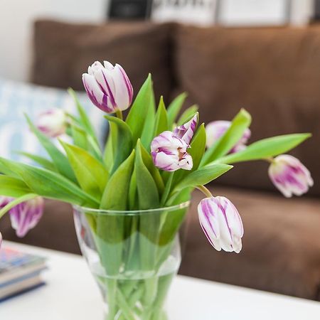 Skolo Apartment سيلفوس المظهر الخارجي الصورة